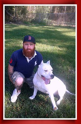 huinca-values Dream Dogos - Dogo Argentino Breeder