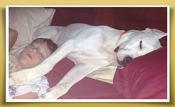 A boy and his dog sleeping on the bed
